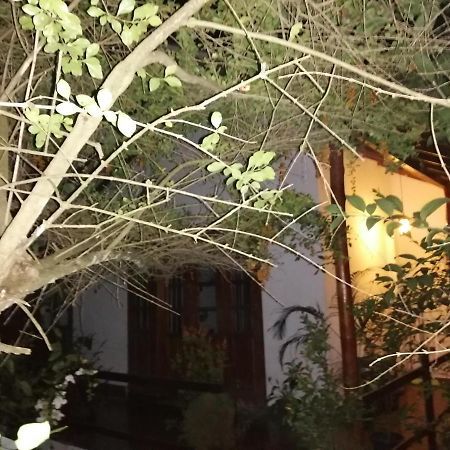אלה Solitary Resort מראה חיצוני תמונה