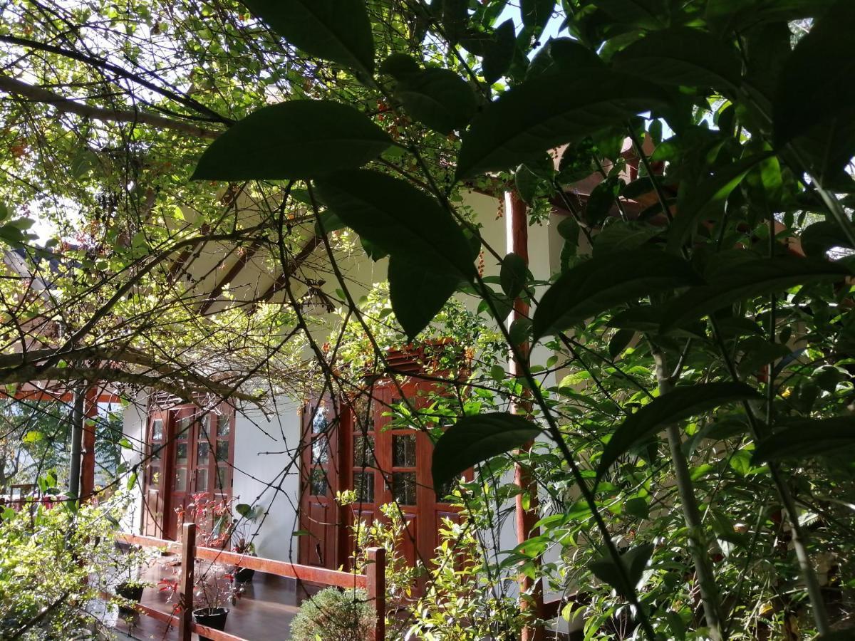 אלה Solitary Resort מראה חיצוני תמונה