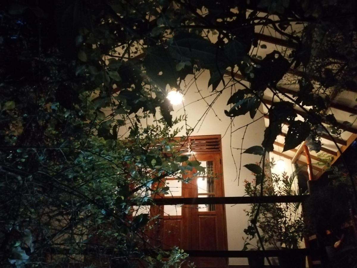אלה Solitary Resort מראה חיצוני תמונה