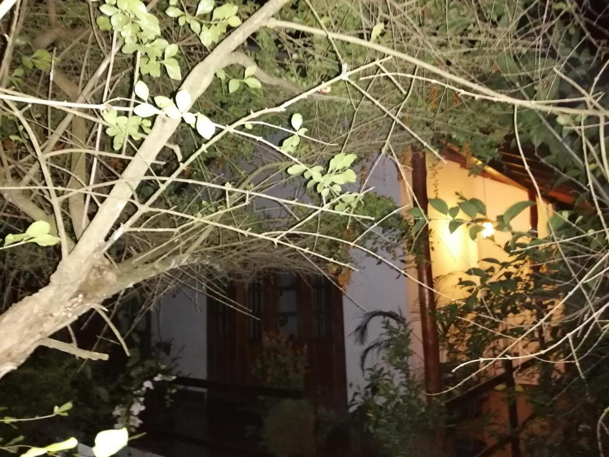 אלה Solitary Resort מראה חיצוני תמונה